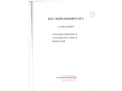 湖南亿丰置业发展有限公司（岳阳县） 001